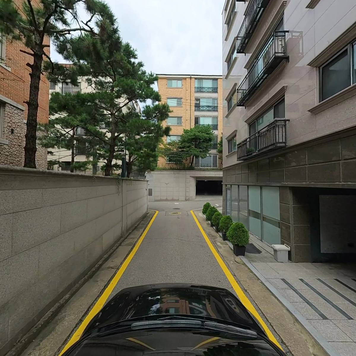 제주항 수협 직판장_4