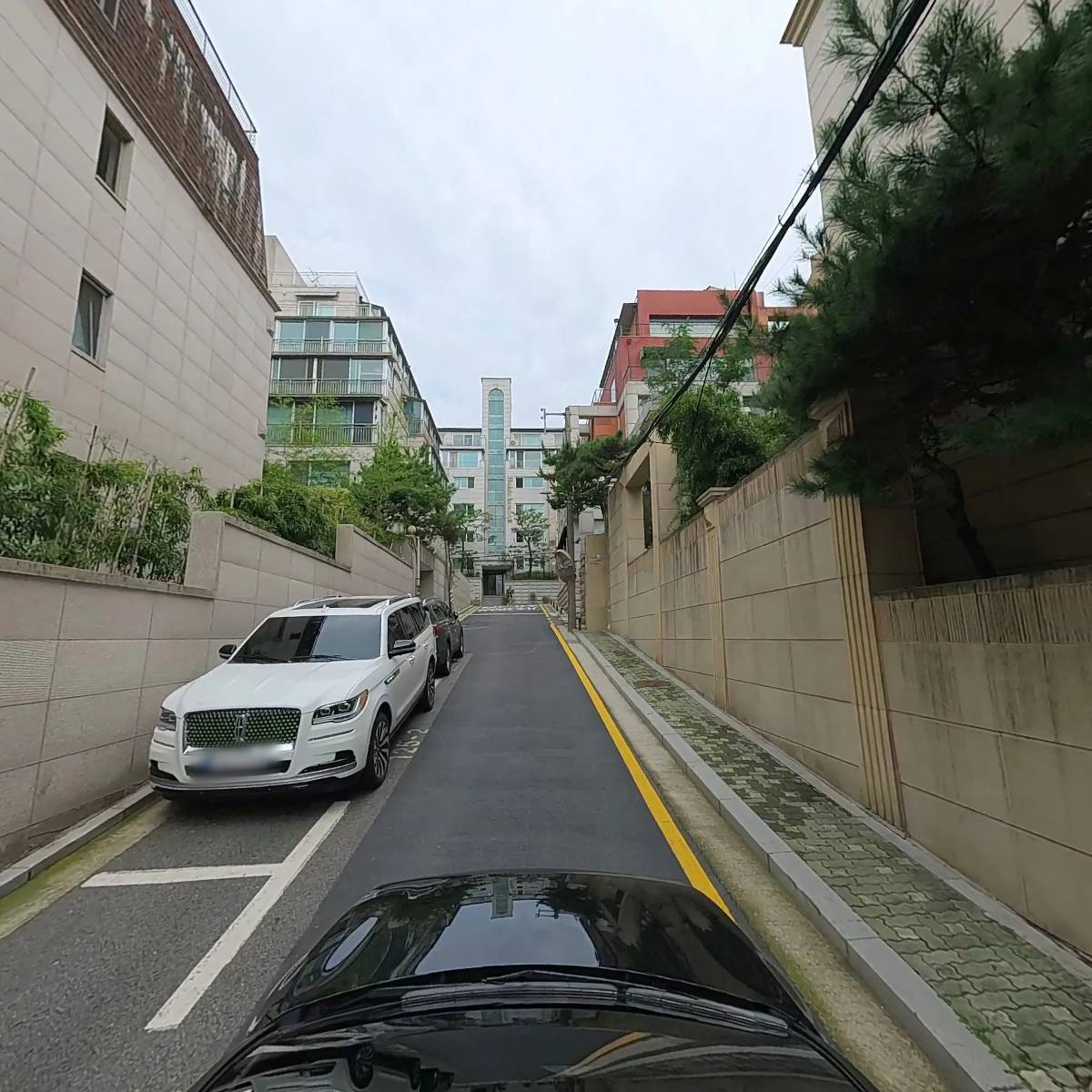 린제이_4