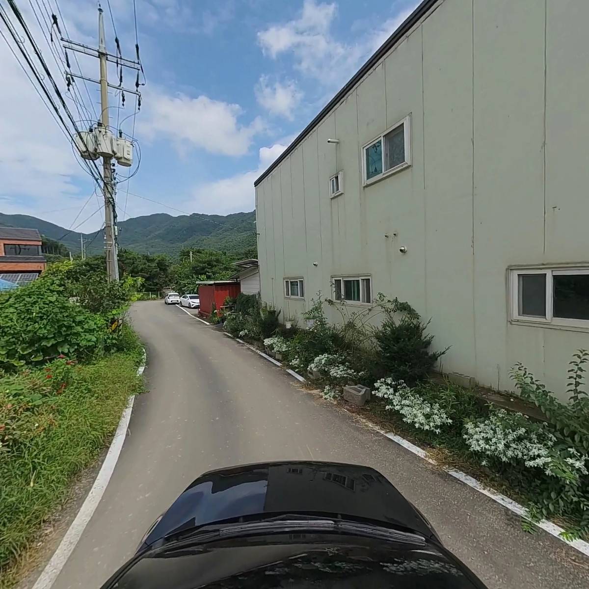 비니하우스_4