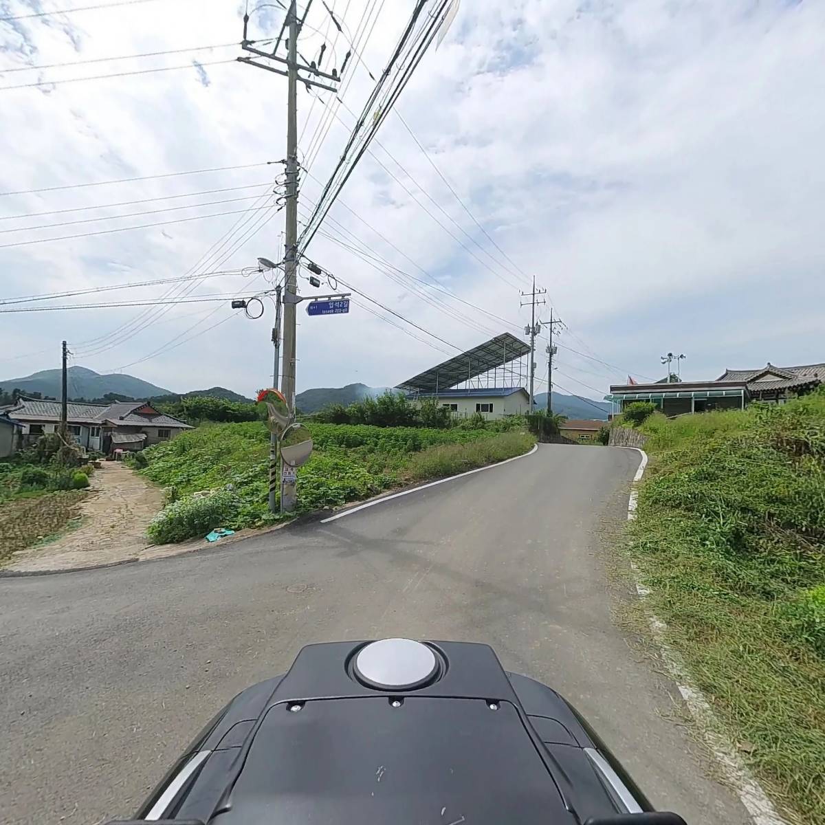 비니하우스_2
