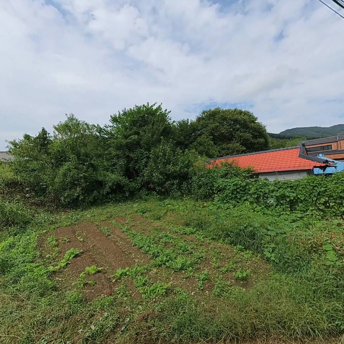 비니하우스_3