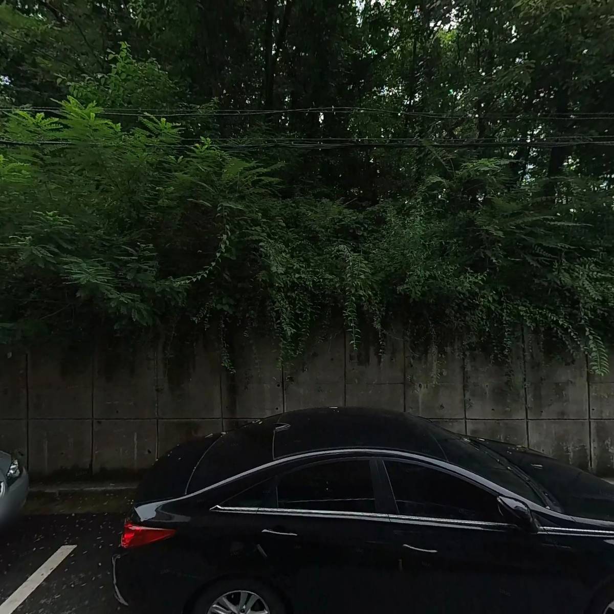 코리안댄스컴퍼니결_3