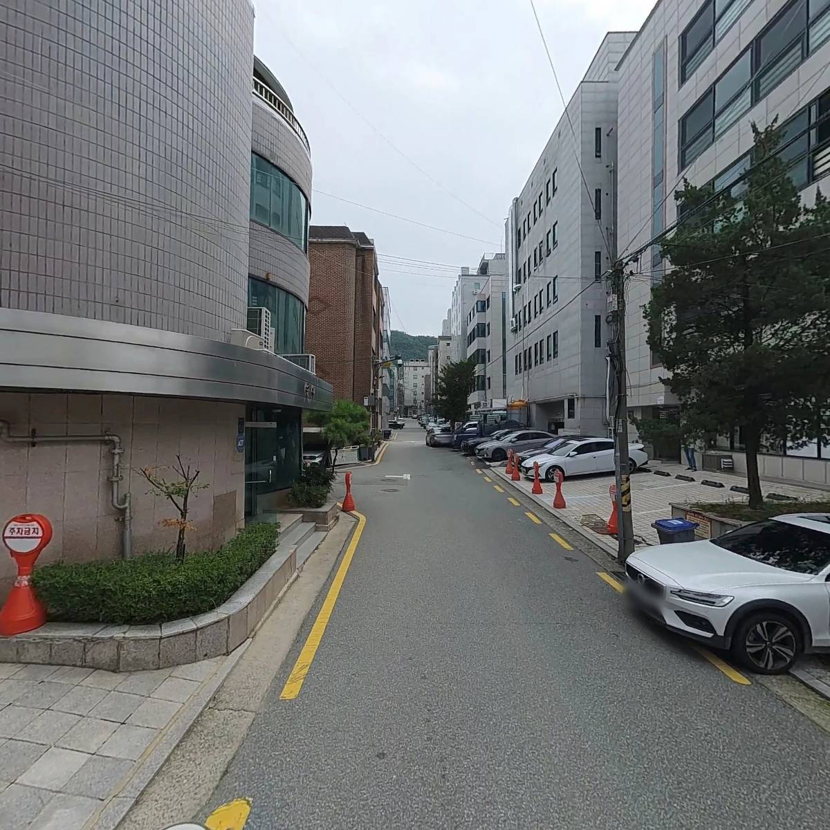 동해,김명자낙지마당_2