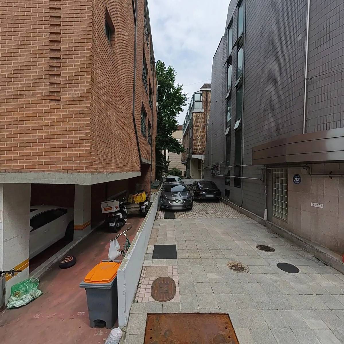 동해,김명자낙지마당