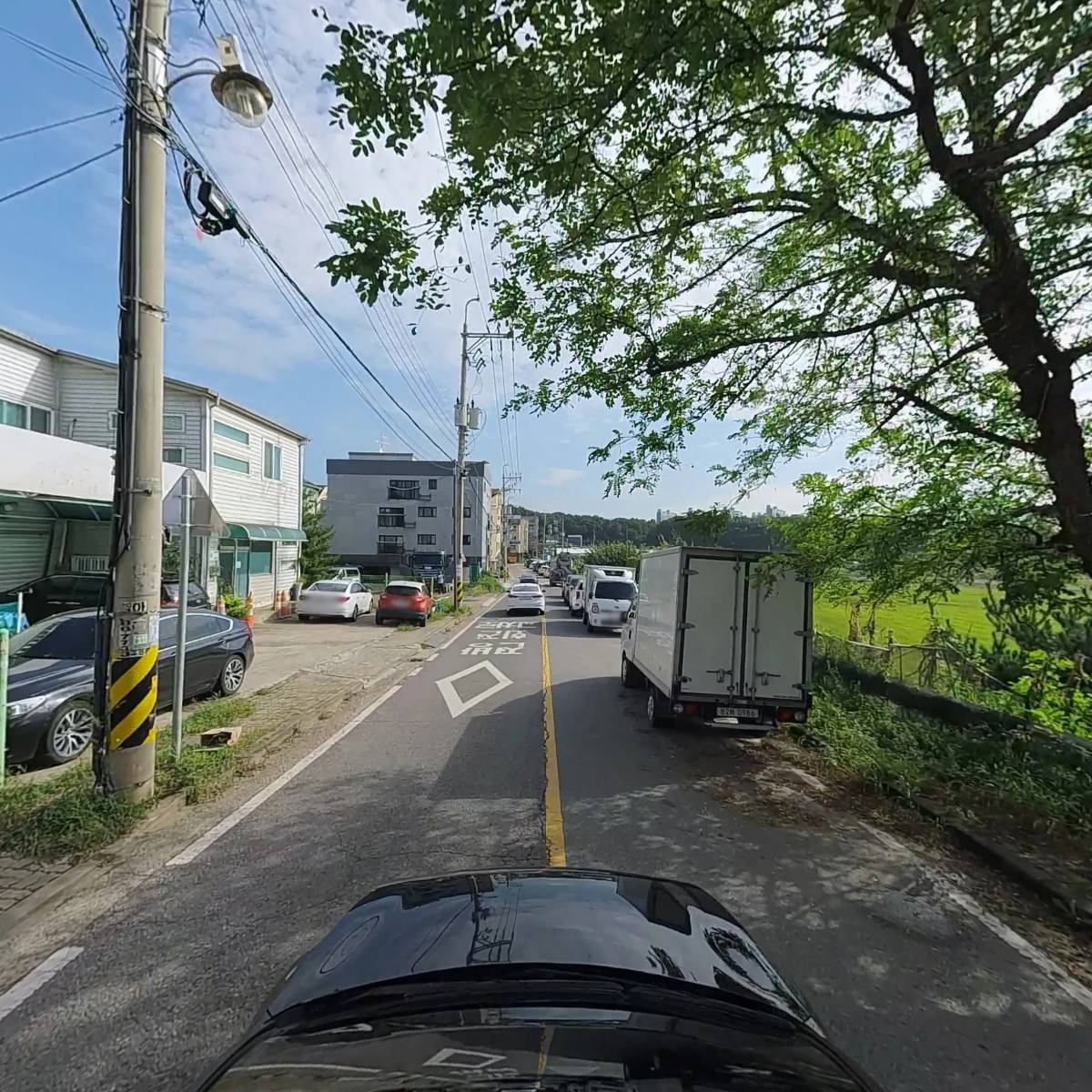 샘초롱_4