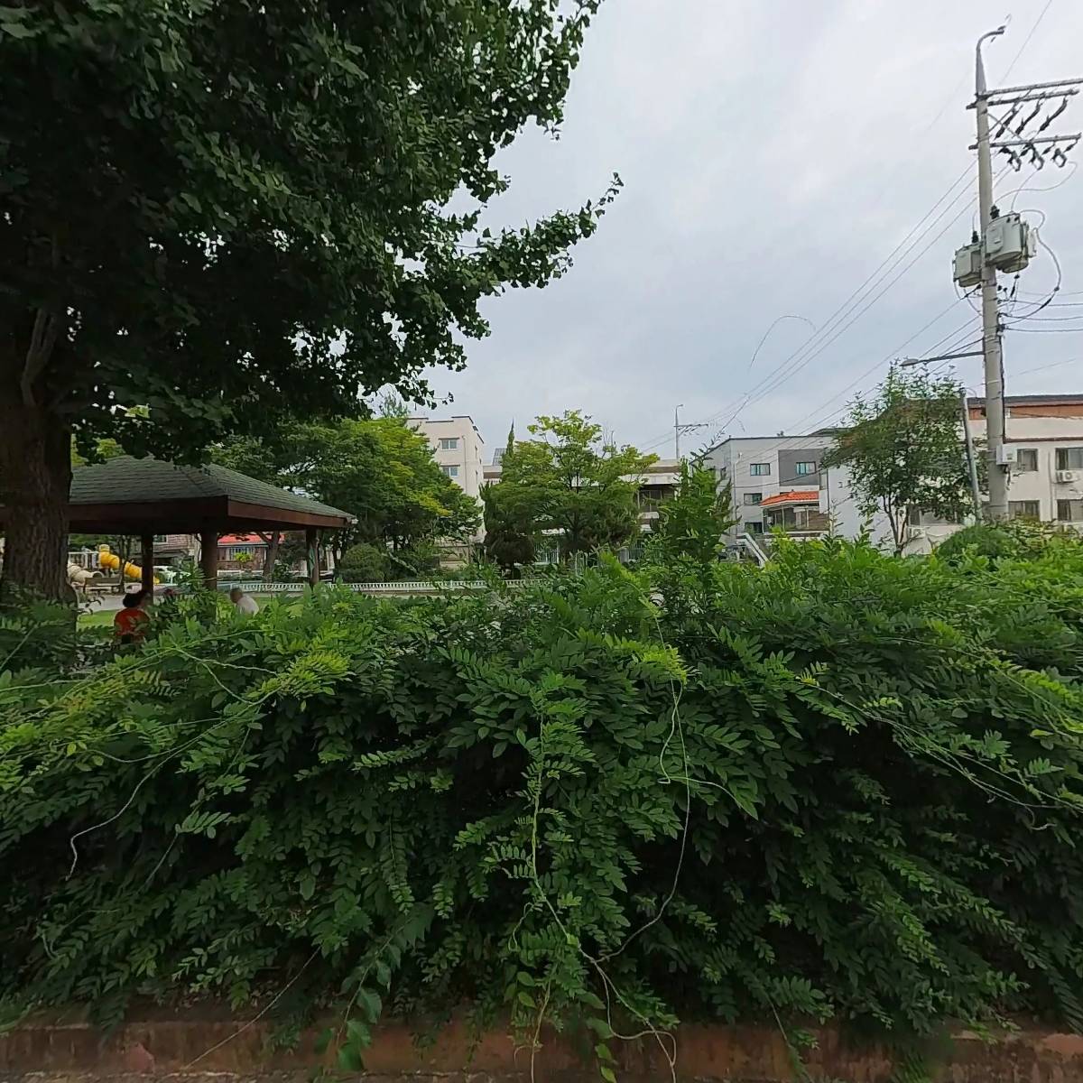 힐스템 건강 청주점