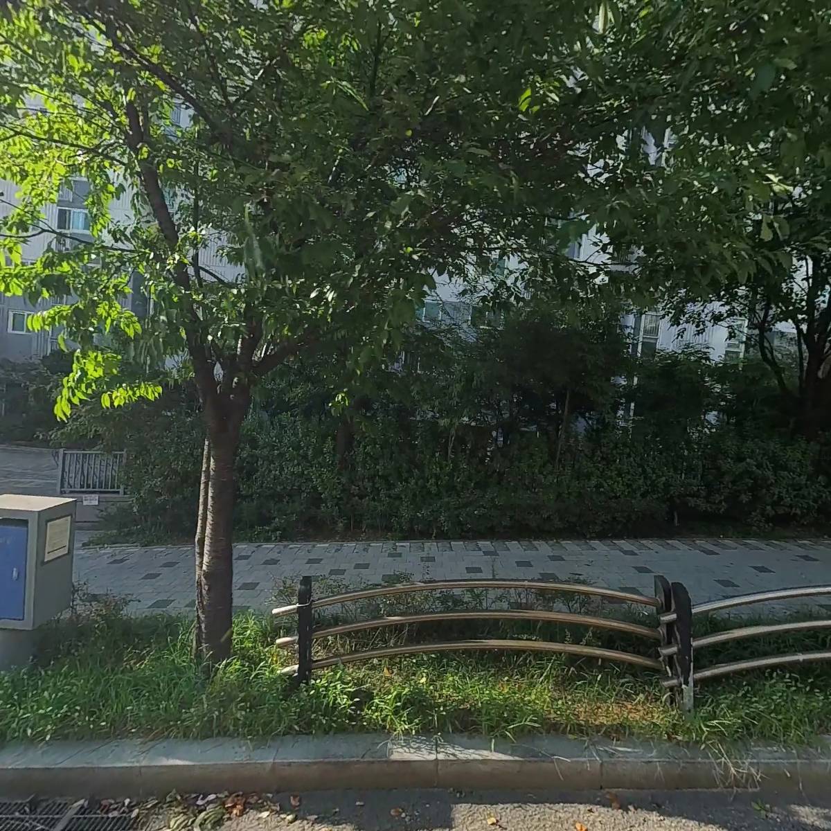 리얼카메라
