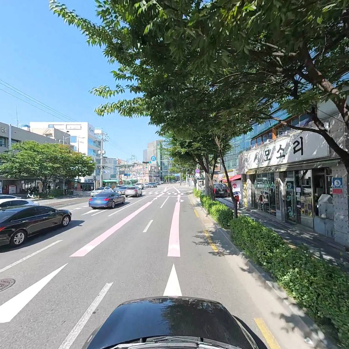 치도_4