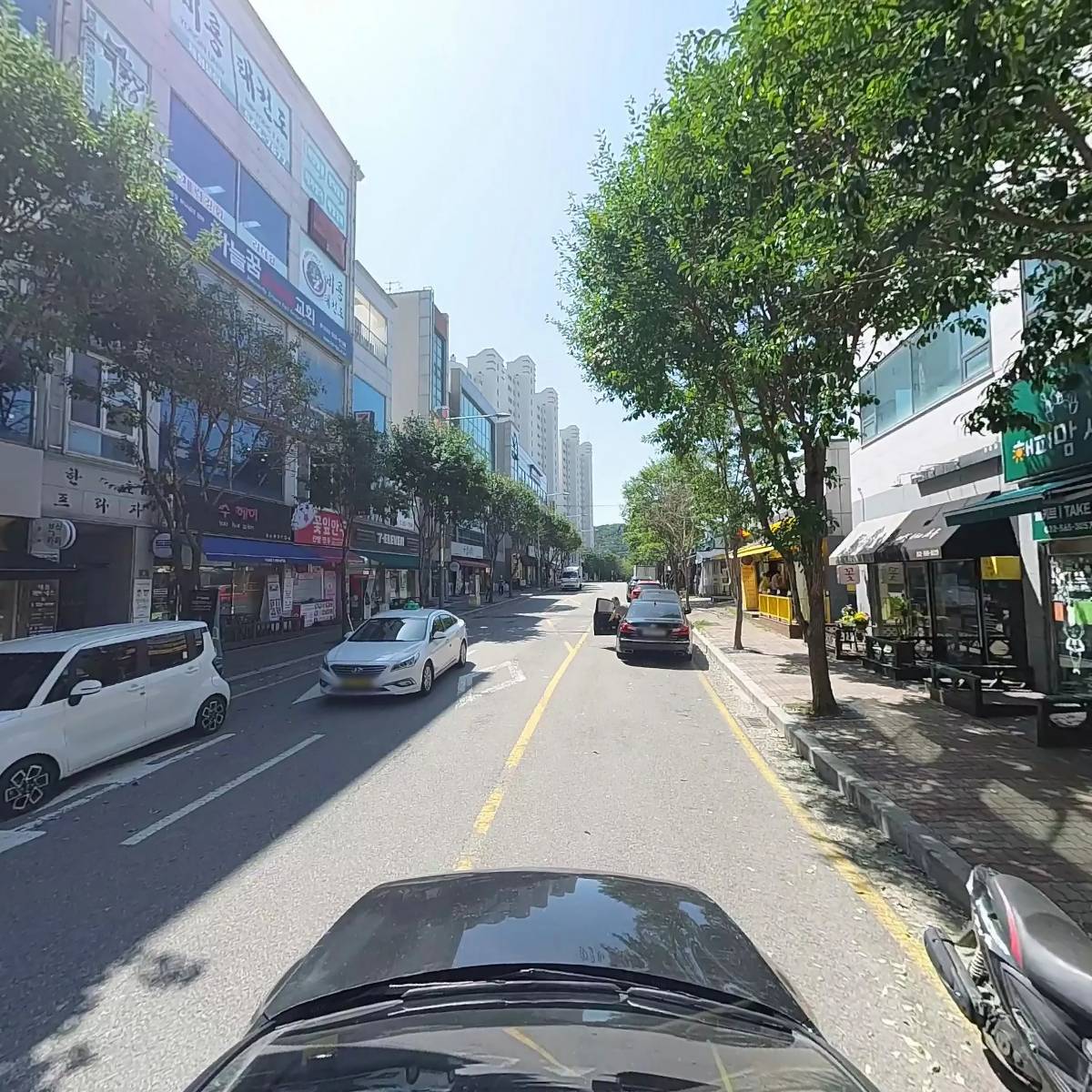용인대비룡태권도사관학교_4