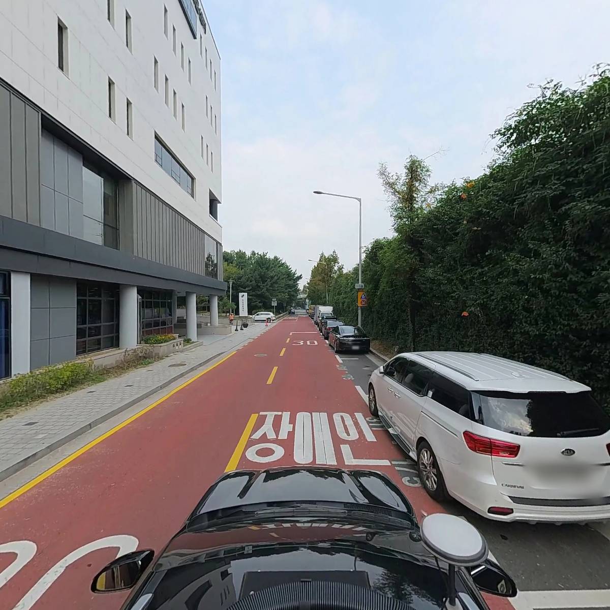 강남세움단기보호센터_4