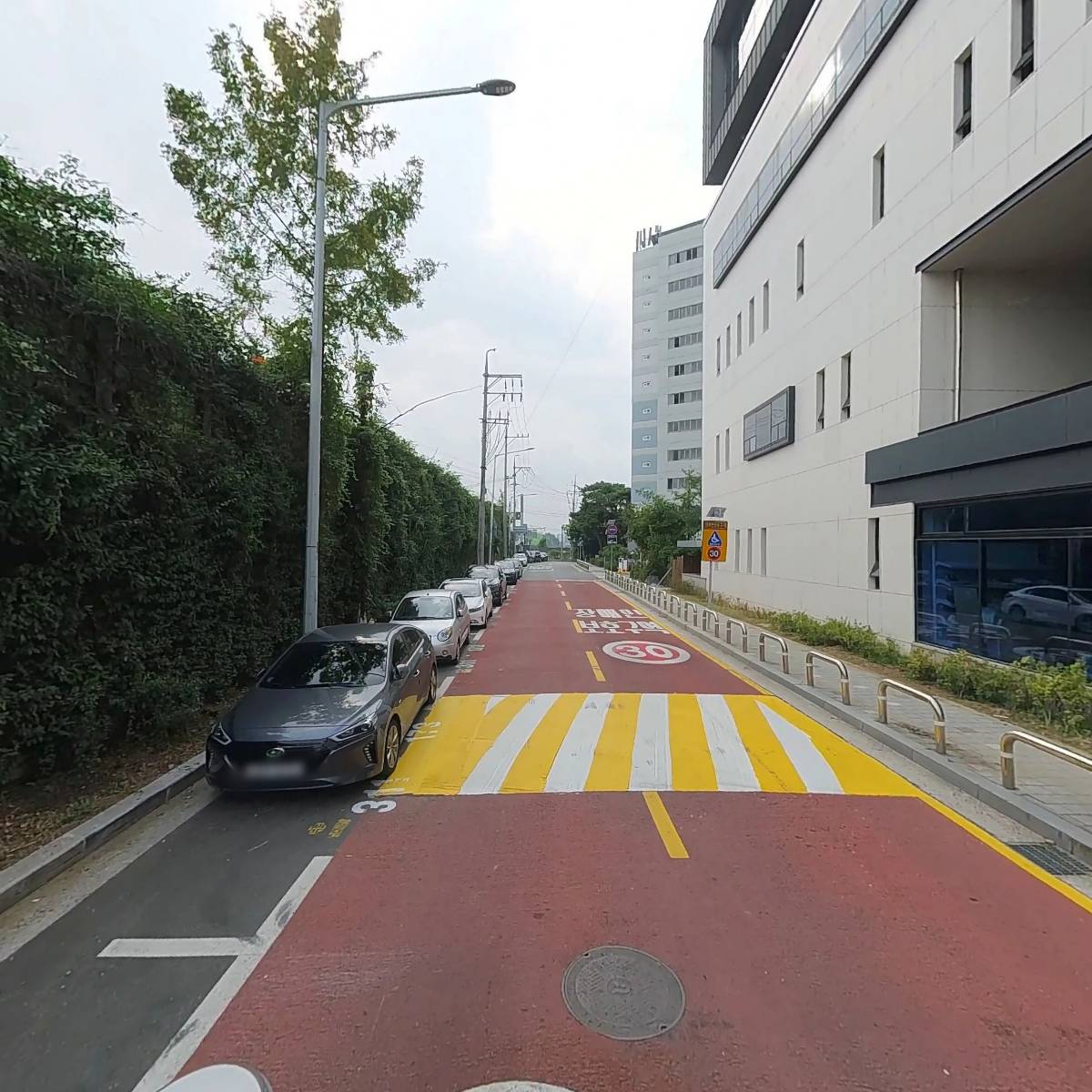 강남세움단기보호센터_2