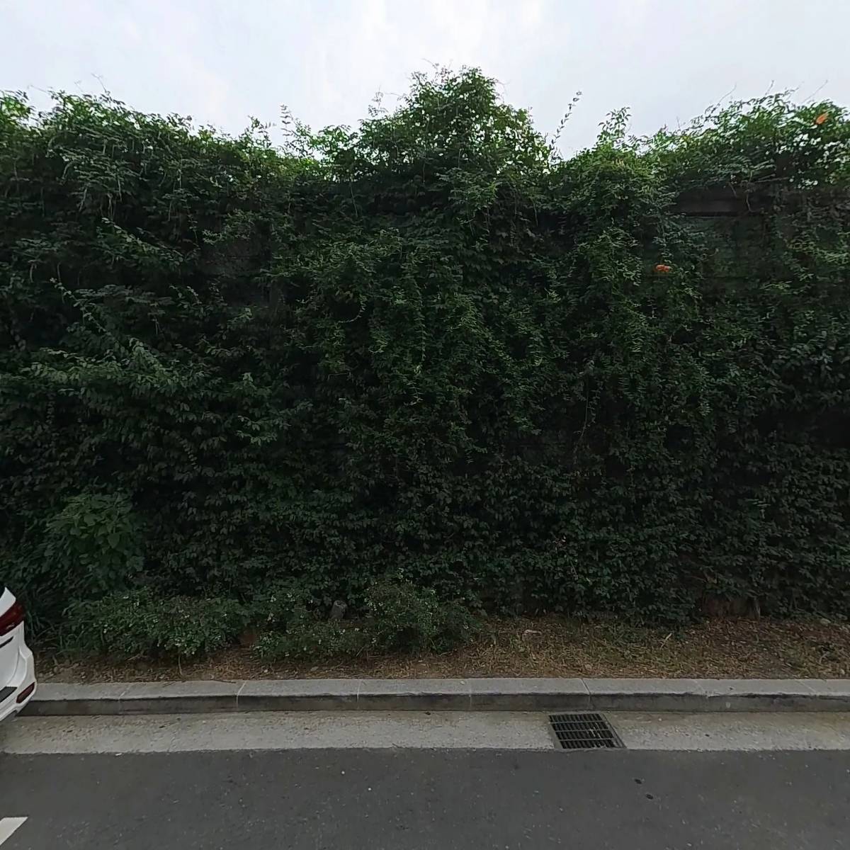 강남세움단기보호센터