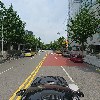 주식회사 우탄숲복원생태연구소_4