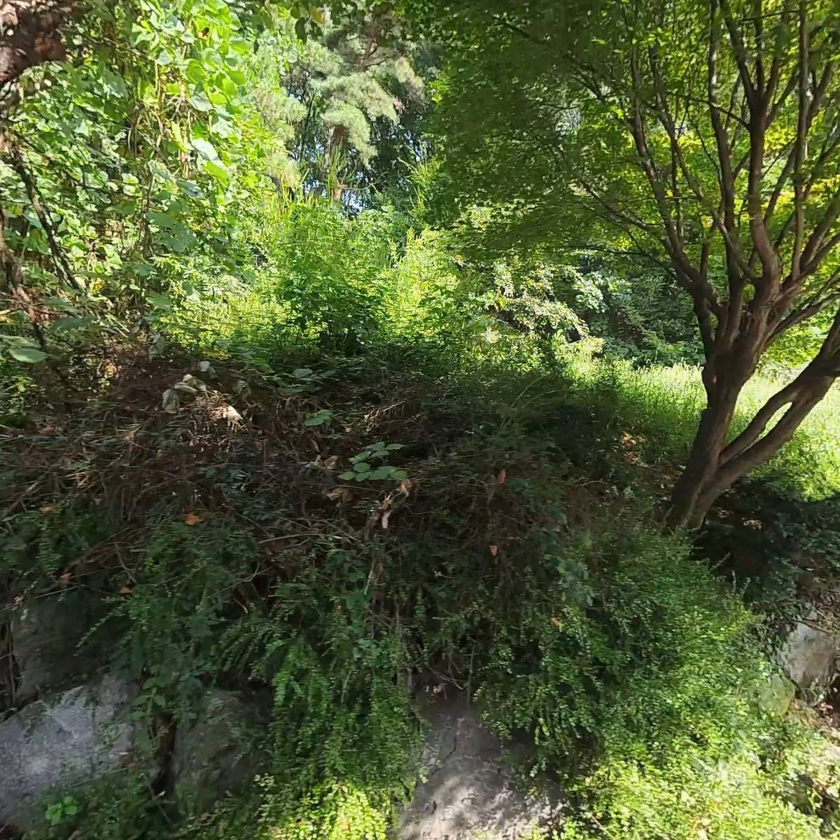 삼일정공사_3