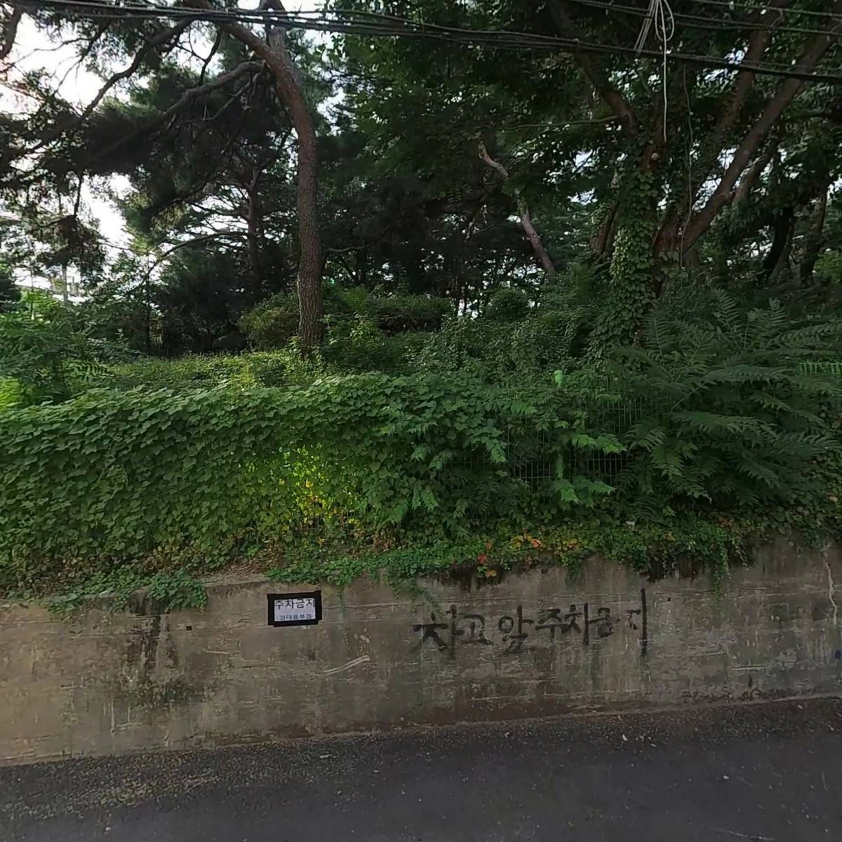 모나코