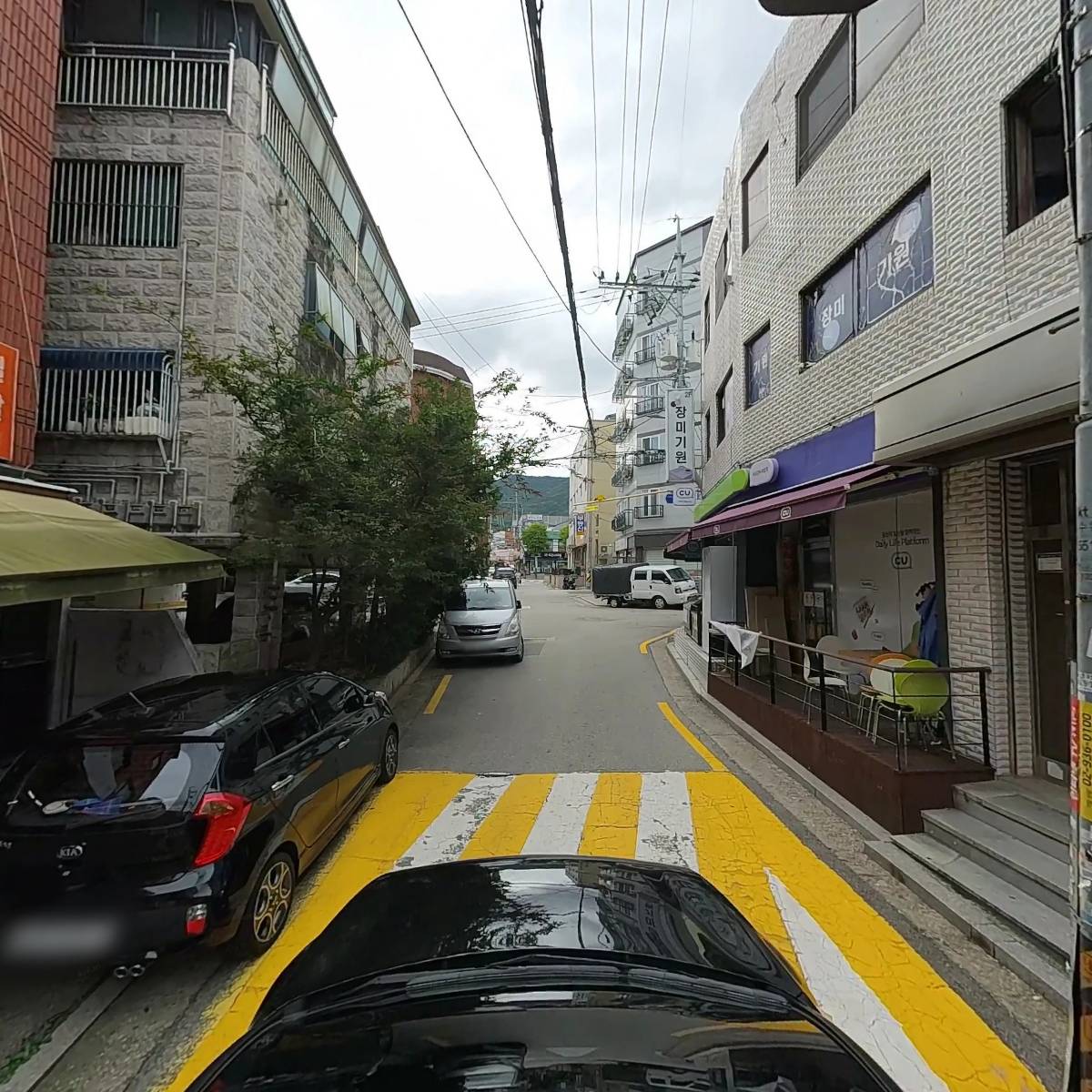포도쉬즈 모(毛)_4