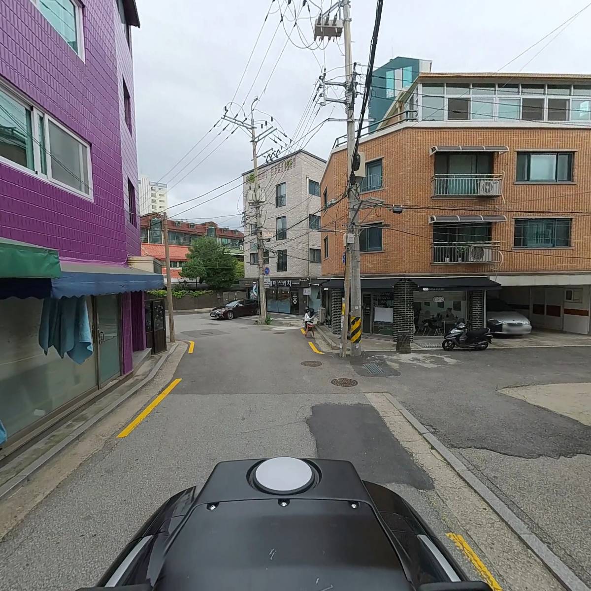 포도쉬즈 모(毛)_2