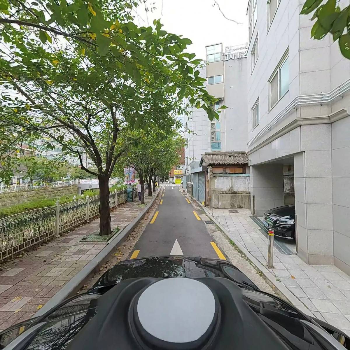 브리사_4