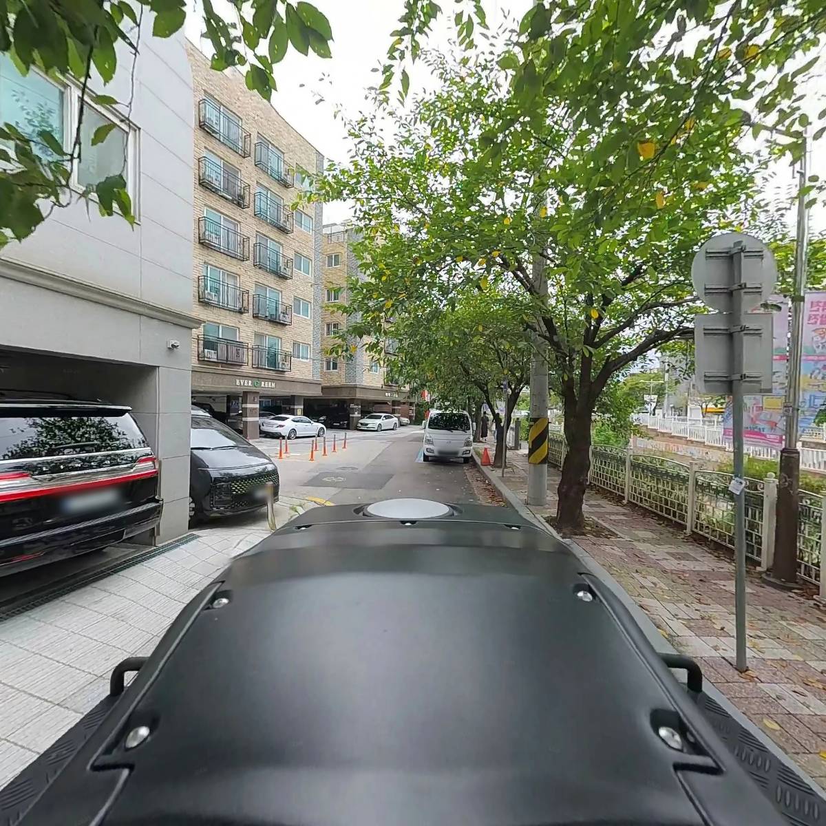브리사_2