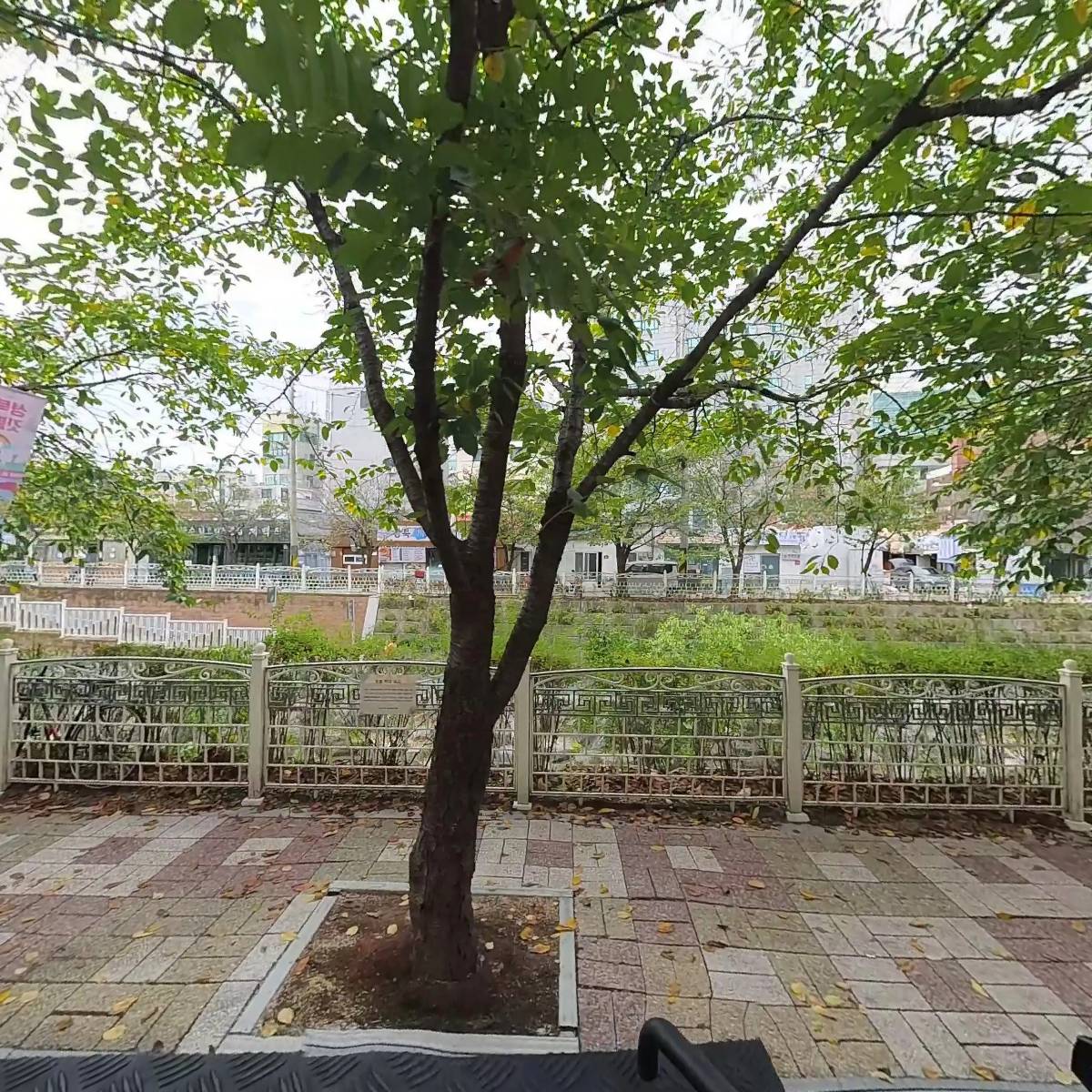브리사_3