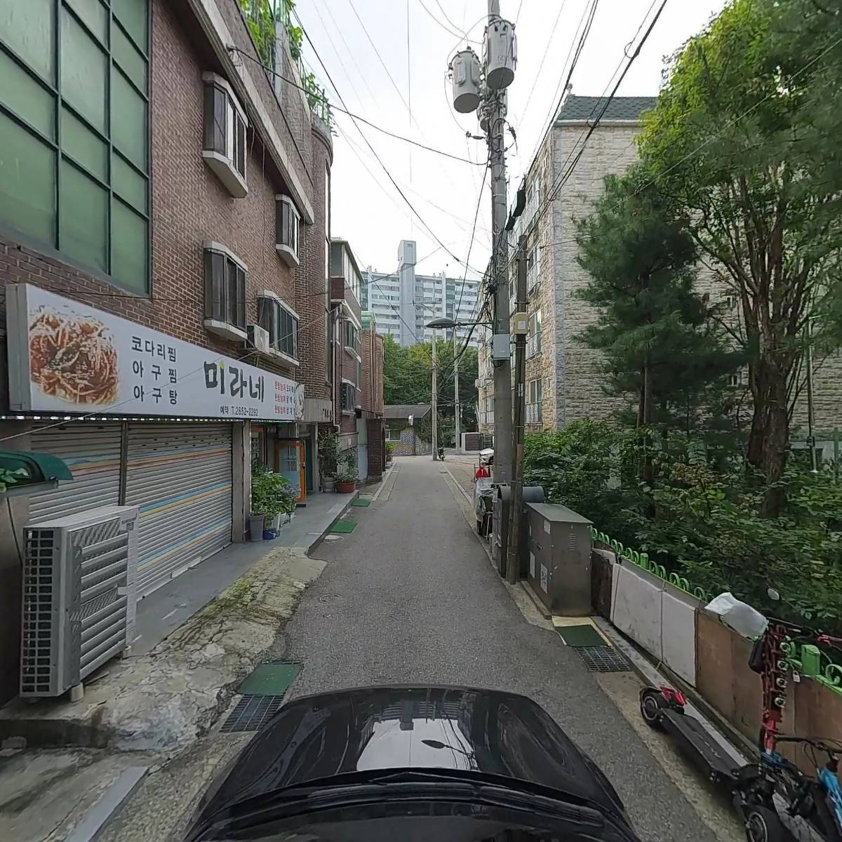 워시테리아 신정점_4