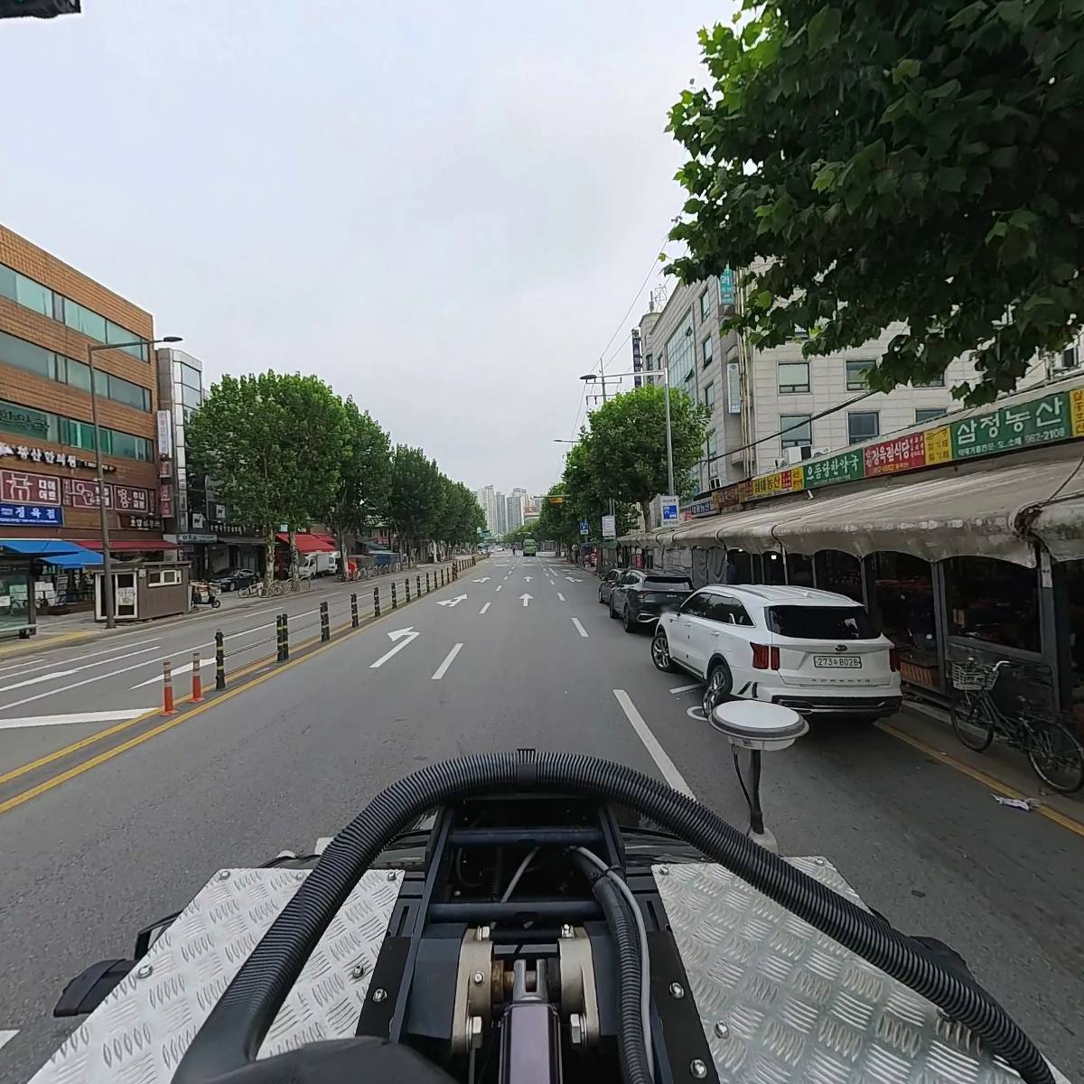 명문정약초_4