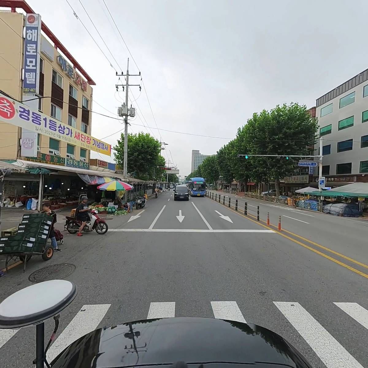 명문정약초_2
