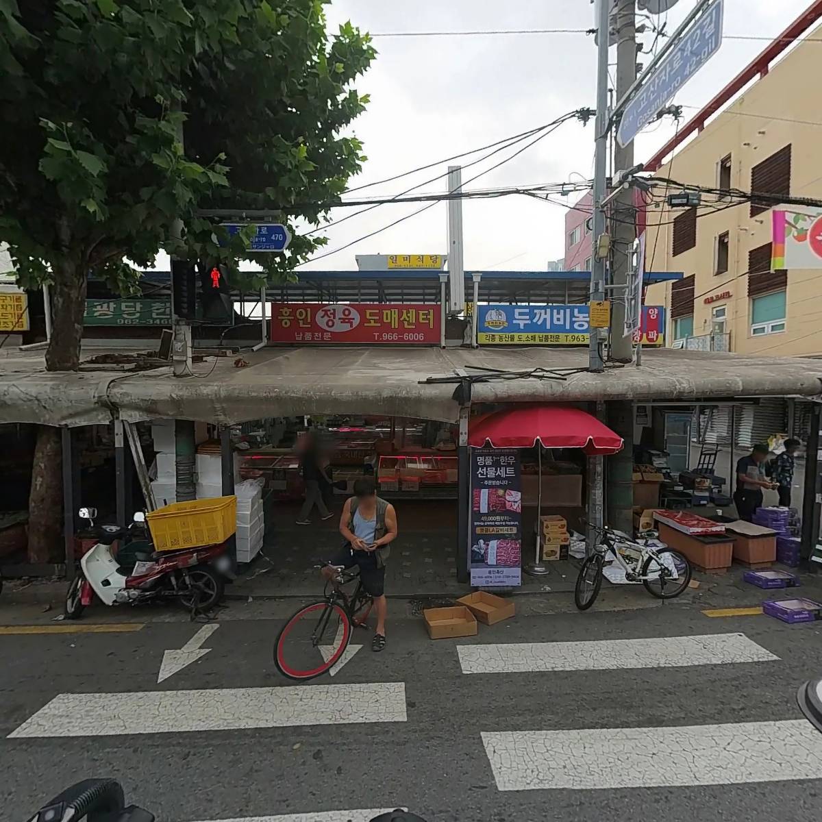 명문정약초