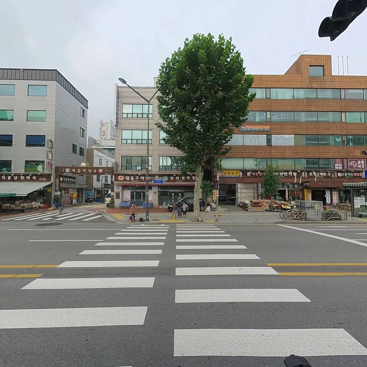명문정약초_3