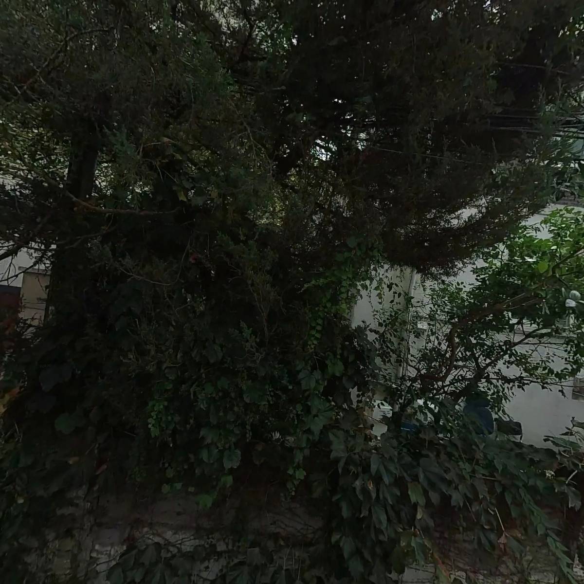 휴먼엔스페이스(주）