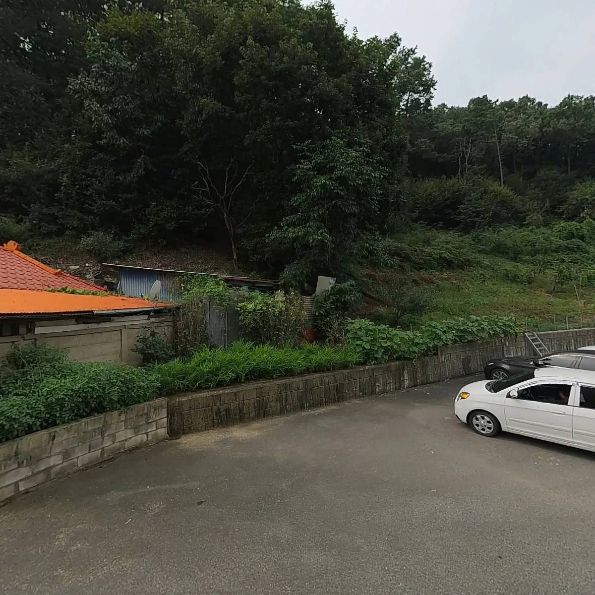 김상옥임대
