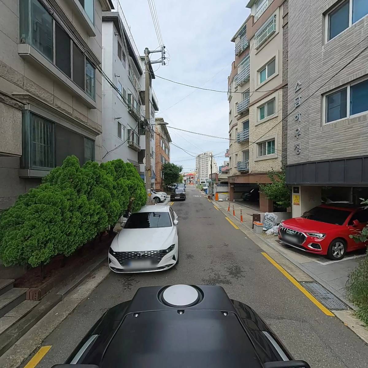 컬러랩 몽끄 드레스_2