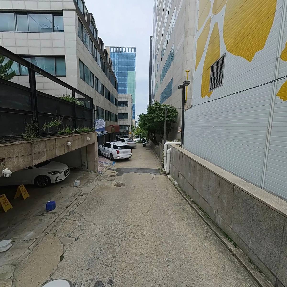 엑스캠엔터테인먼트(X-CAMENTERTAINMENT)_2
