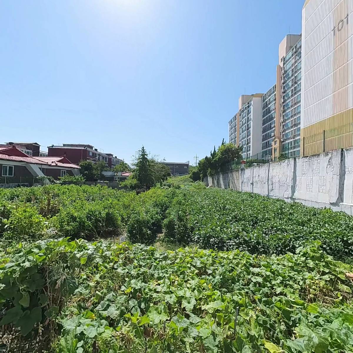 늘푸른어린이집_3