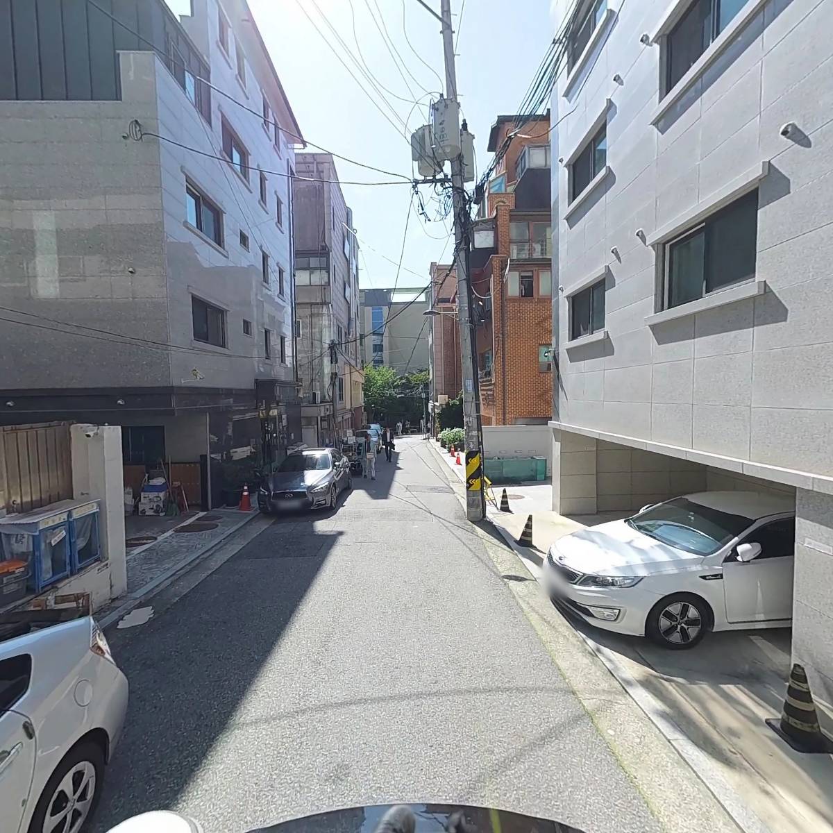 글로디(Gloddy)_2