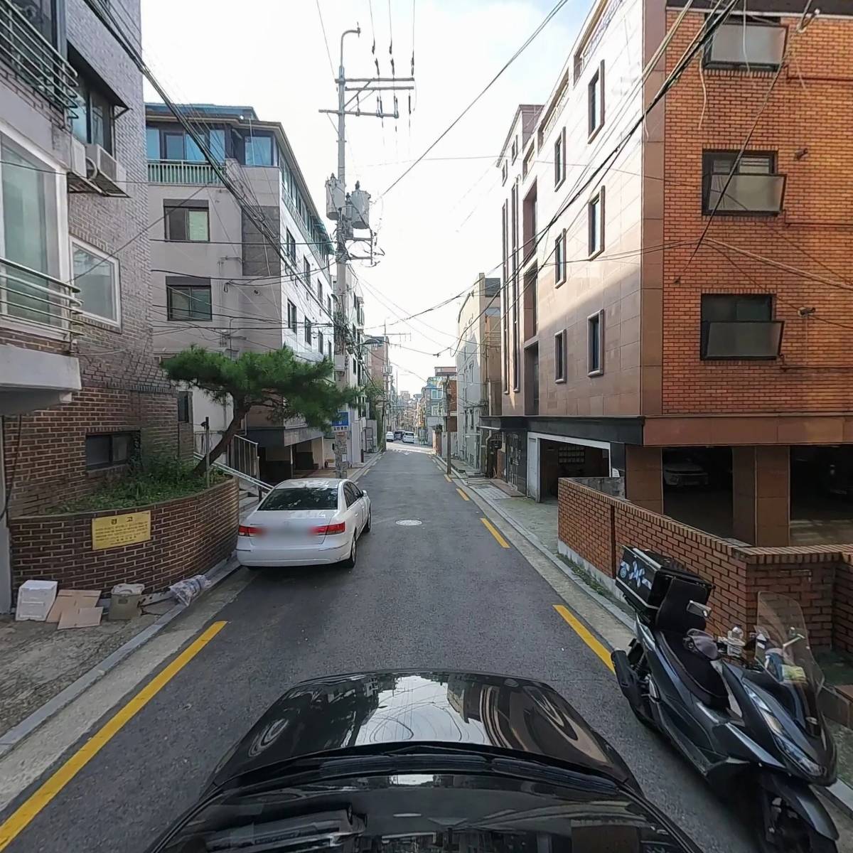 마이프리블루_4