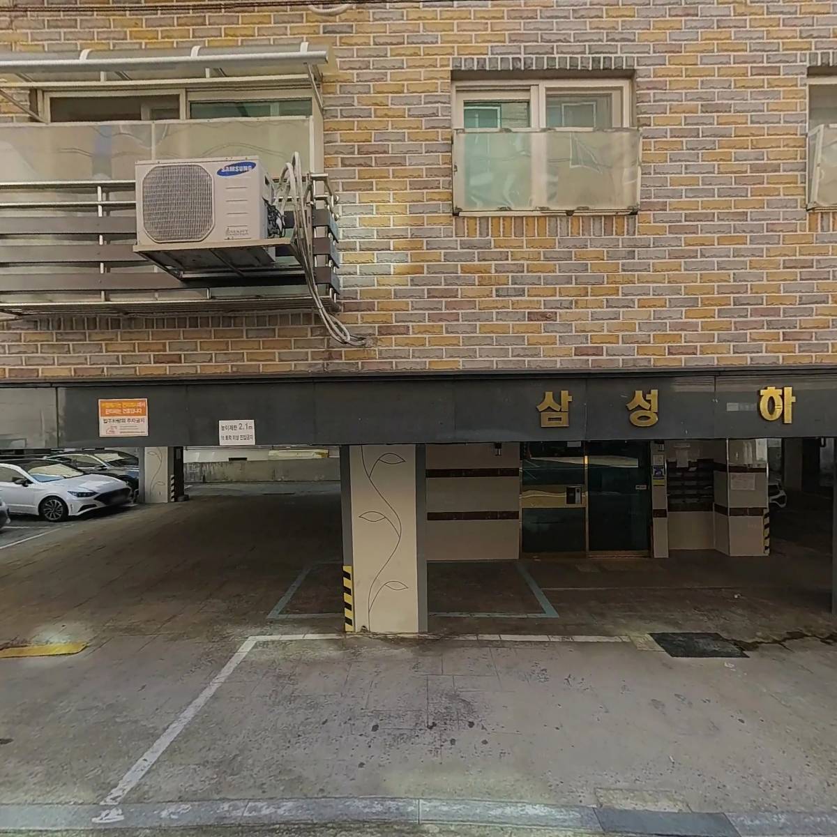 보라그린