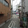 히마와리_2