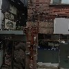 히마와리_3