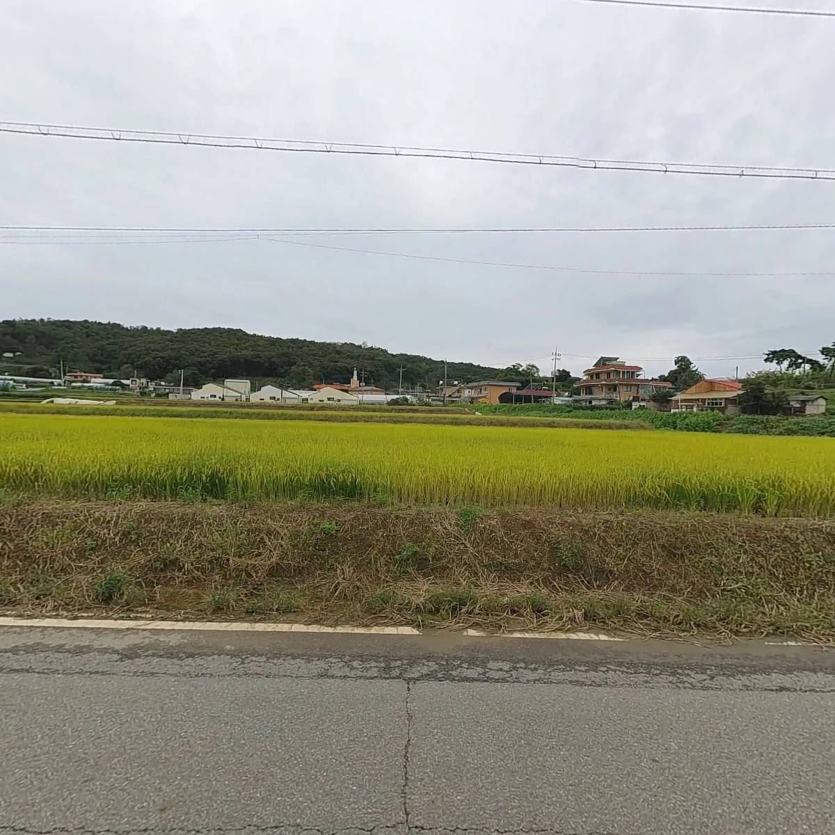 강화울금 영농조합법인_3