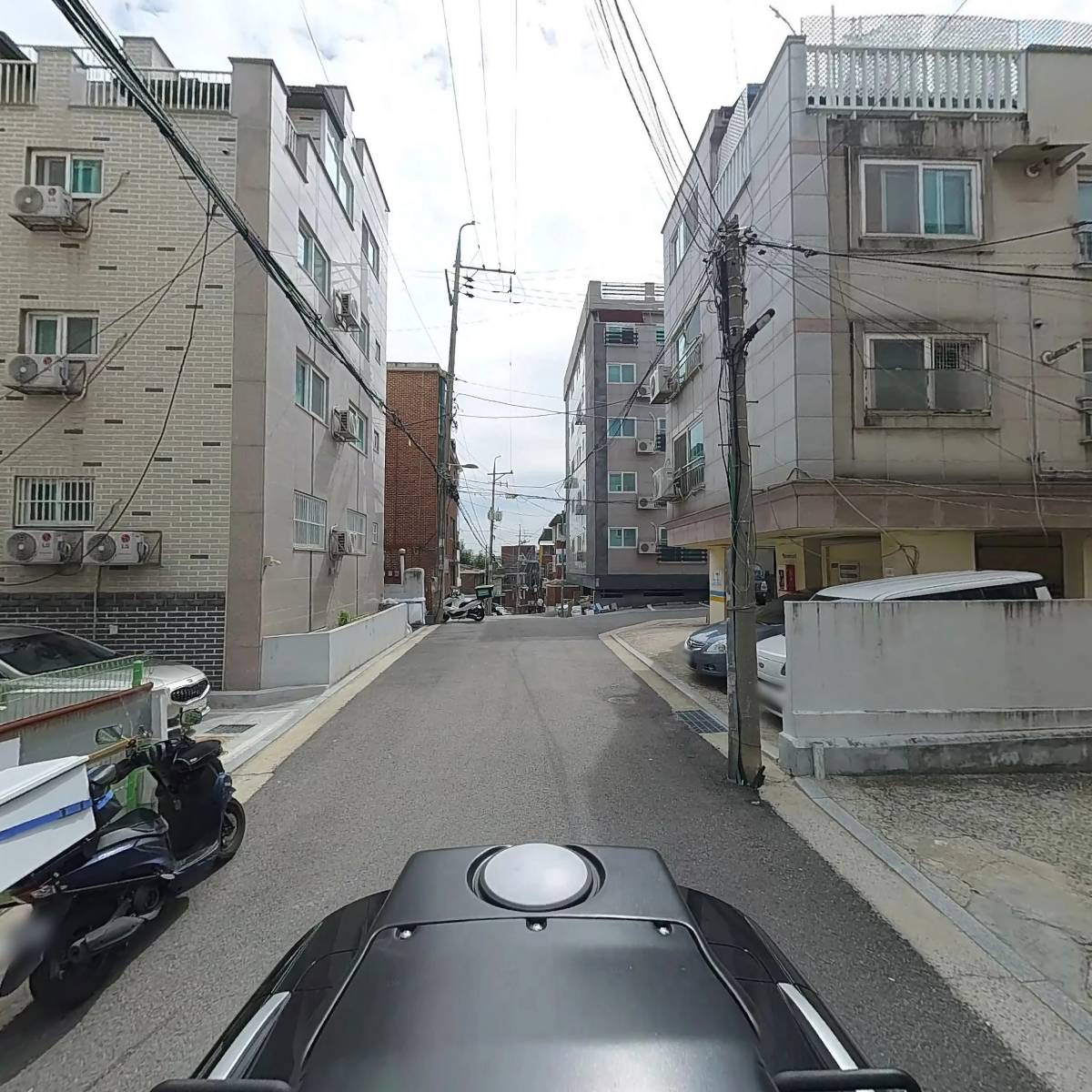 리제네셀_2