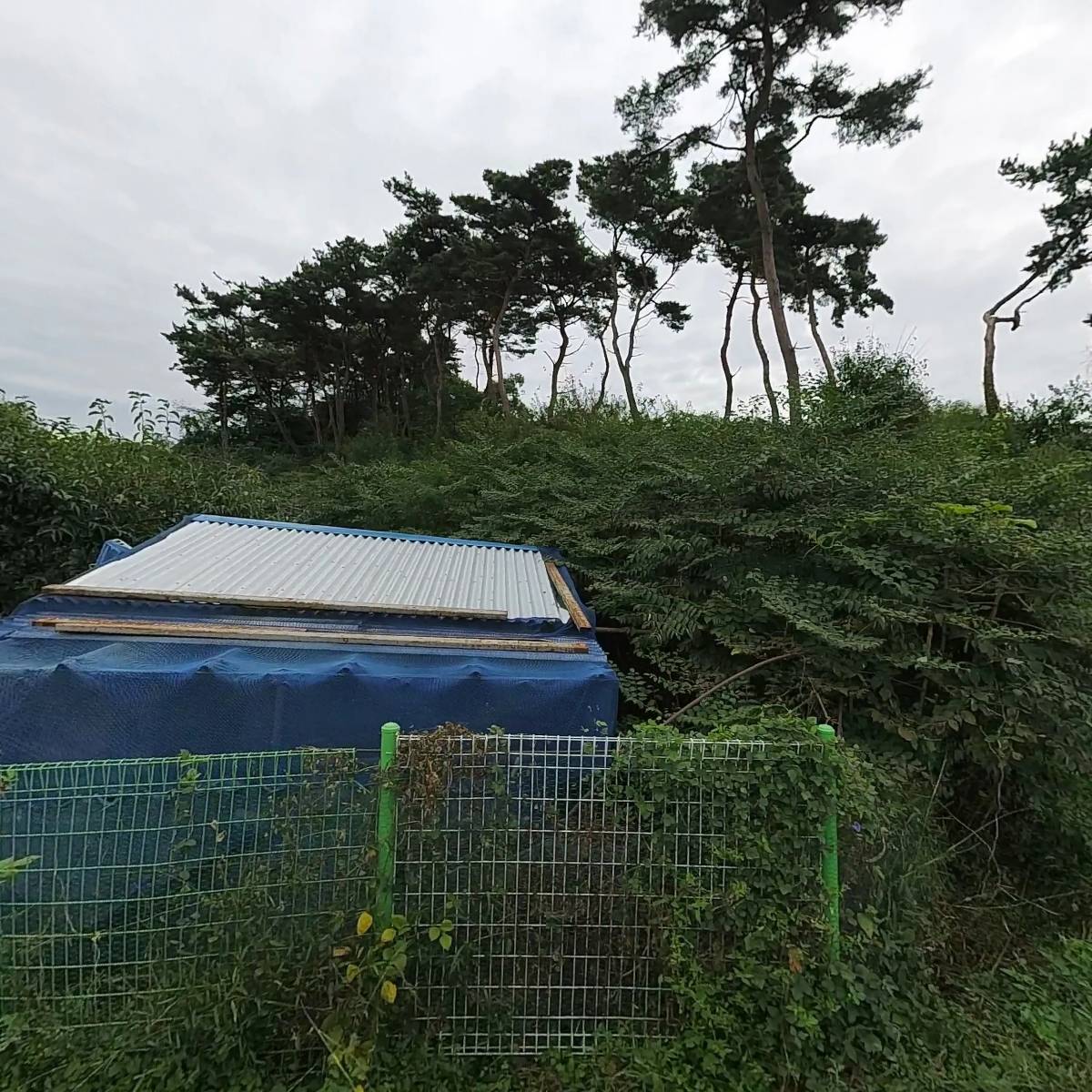 이남직 발전소