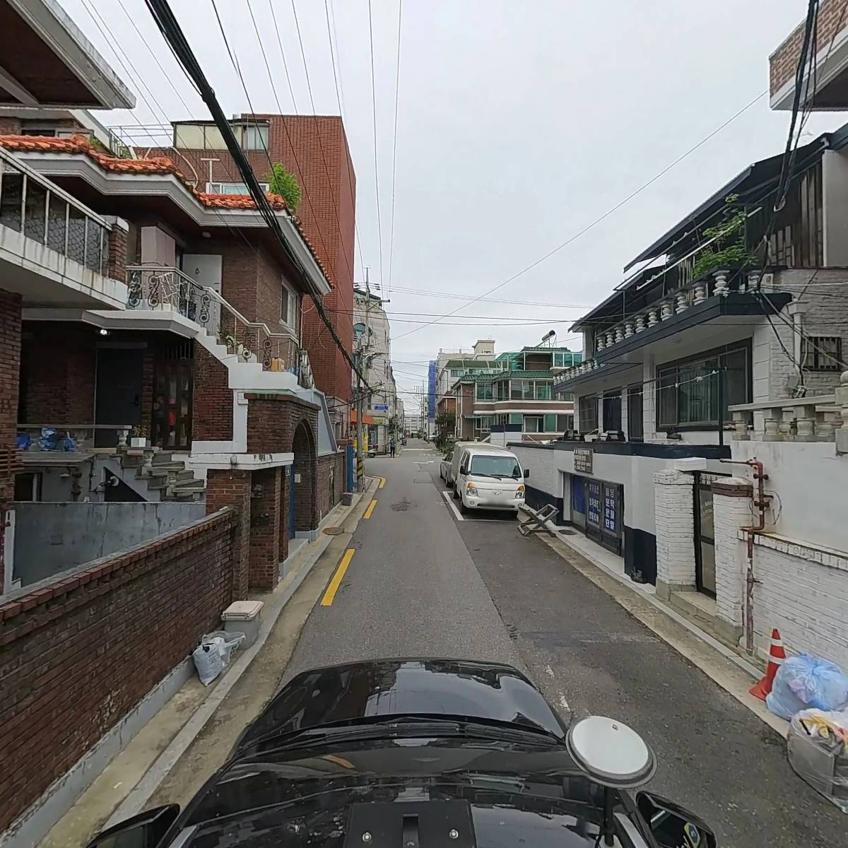 빈티지진돗개_4