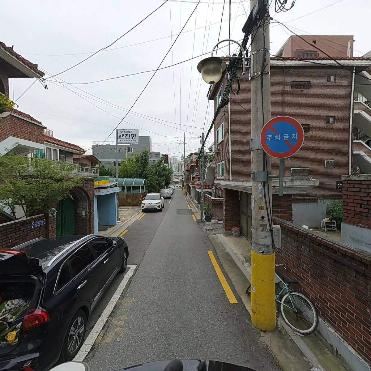 빈티지진돗개_2