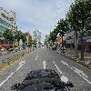 바르다펫_4