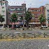 바르다펫_3