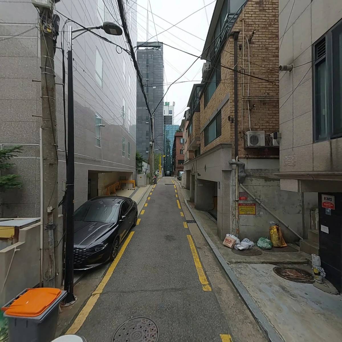 멍텅구리꼼장어_2