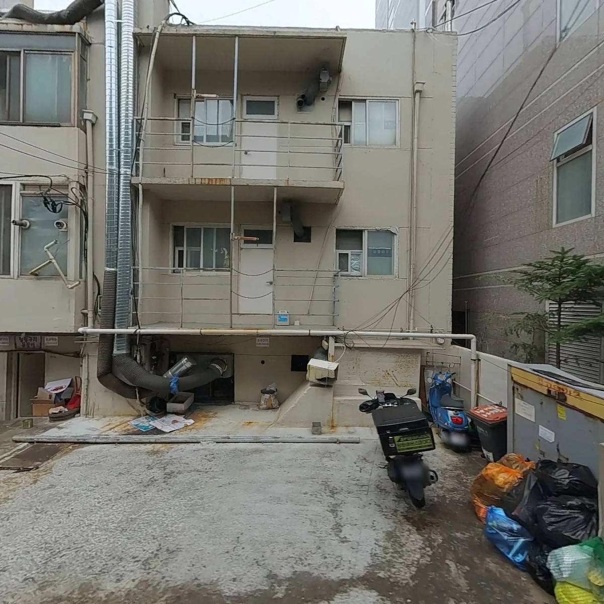 멍텅구리꼼장어