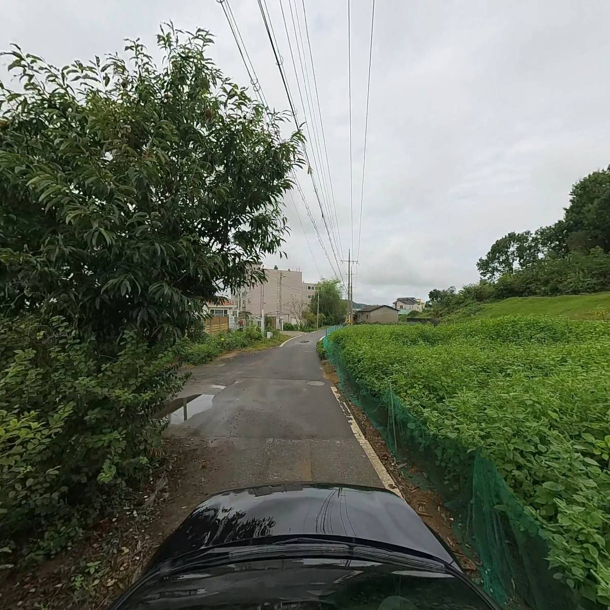 덕신고등학교 총동문회_4
