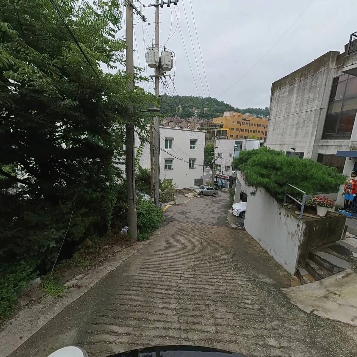 예수성심전교수도회_2